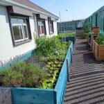 Garden at Community Health Project